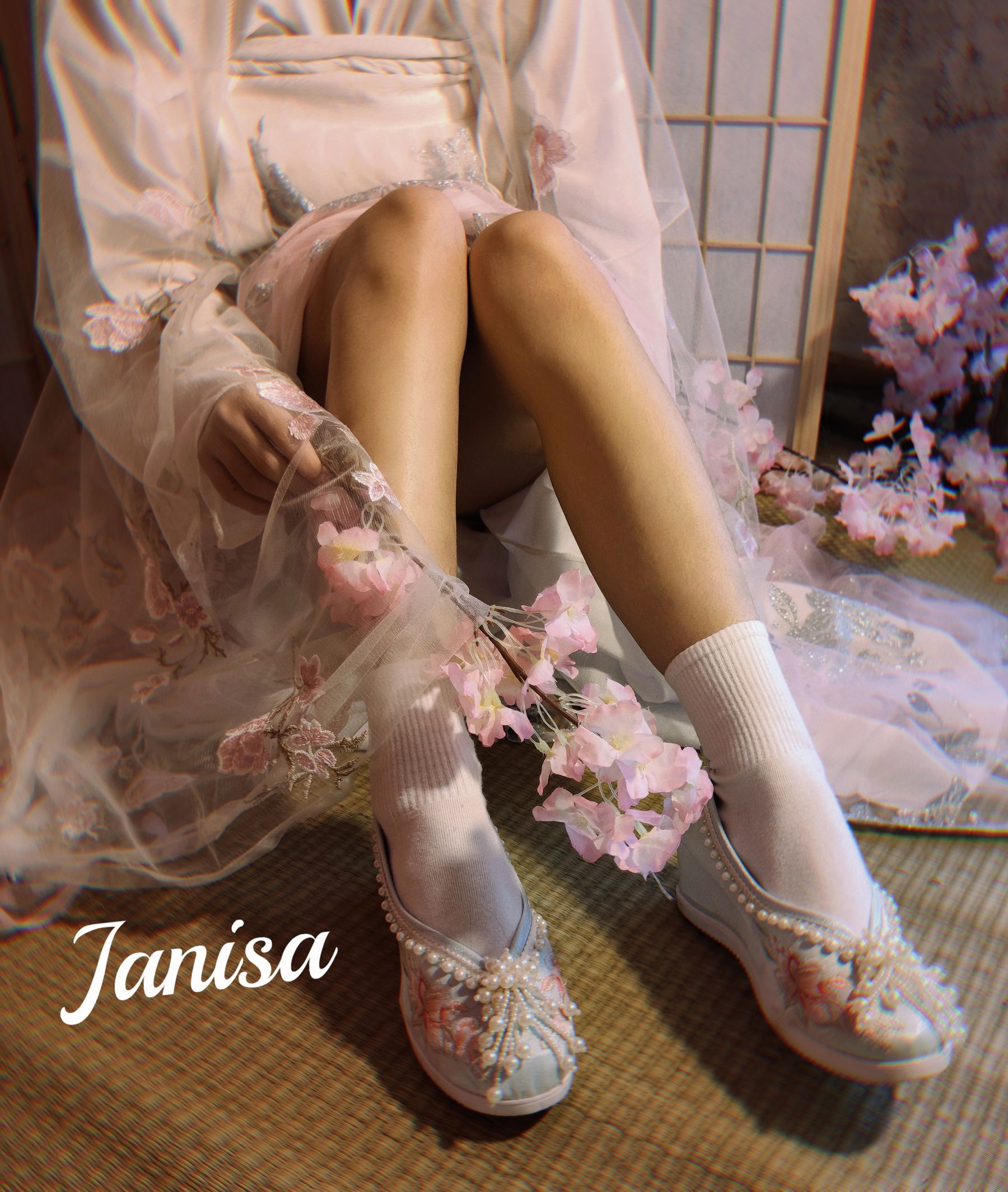 Janisa - 朝花向晚
